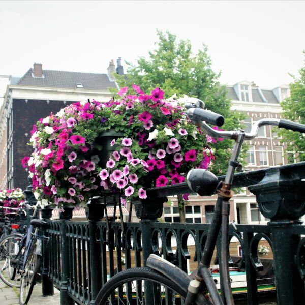 Sfeerfoto Amsterdam.