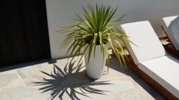 Licht natuurstenen terras van Brasil White Flagstones met een witte plantenbak, groene plant en luxe ligbed.
