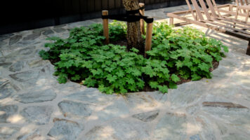 Beplanting verwerkt in een terras van grijze Xanti Flagstones