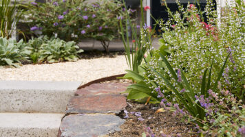 Violetto Leisteen in tuin - Aangelegd door Groene Vingers - Bestratingsplan van Bloemen in de tuin