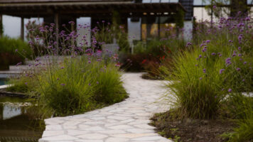 Serena Antiek Flagstones tussen siergrassen en paarse bloemen